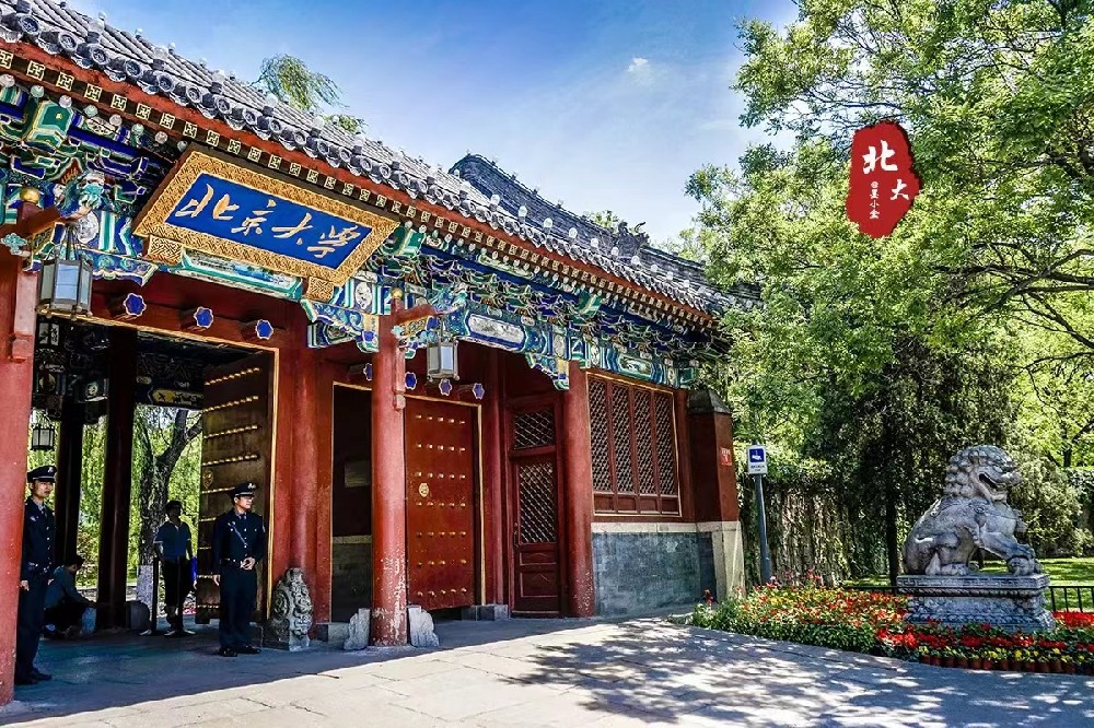 北京大(dà)學項目